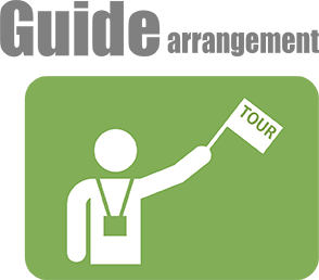 Guide arrangement